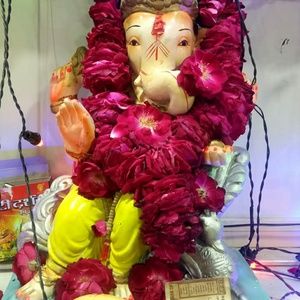 Meet your Posher, Shalu